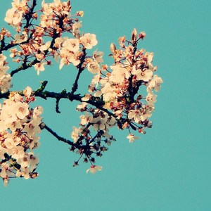 日本少妇被添全过程A片
