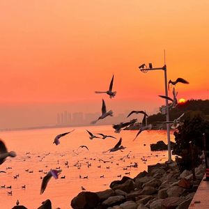 日本少妇被添全过程A片
